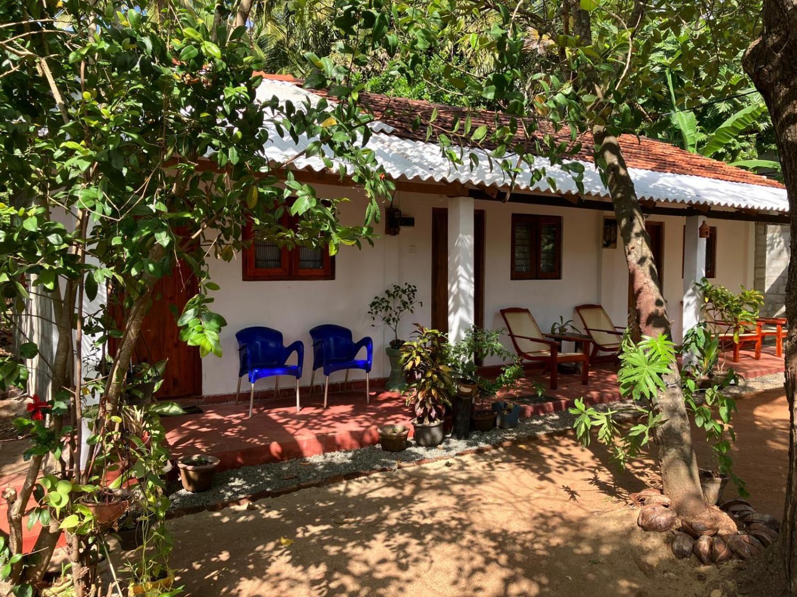 Lake House Homestay Anuradhapura Zewnętrze zdjęcie
