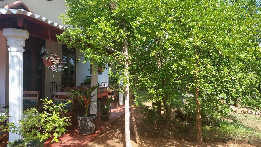 Lake House Homestay Anuradhapura Zewnętrze zdjęcie