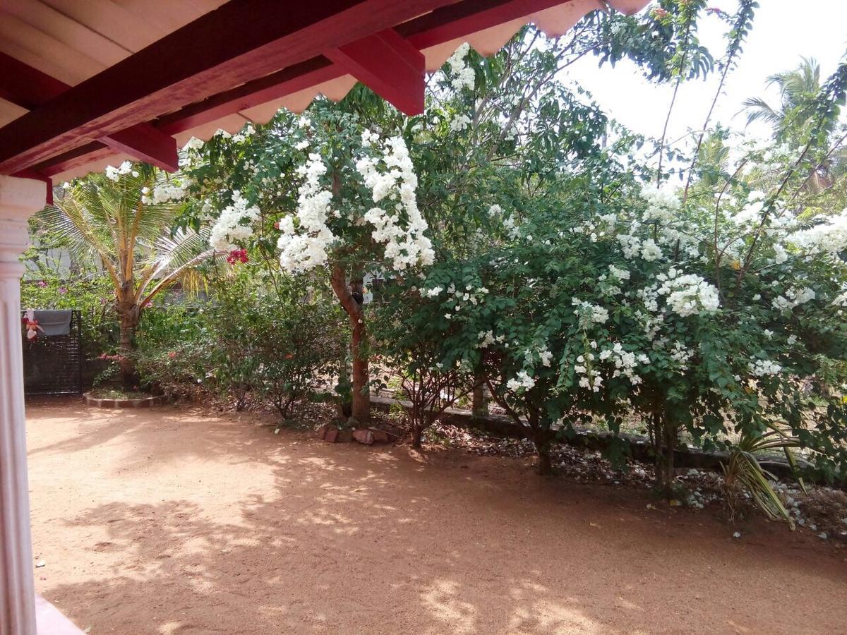 Lake House Homestay Anuradhapura Zewnętrze zdjęcie