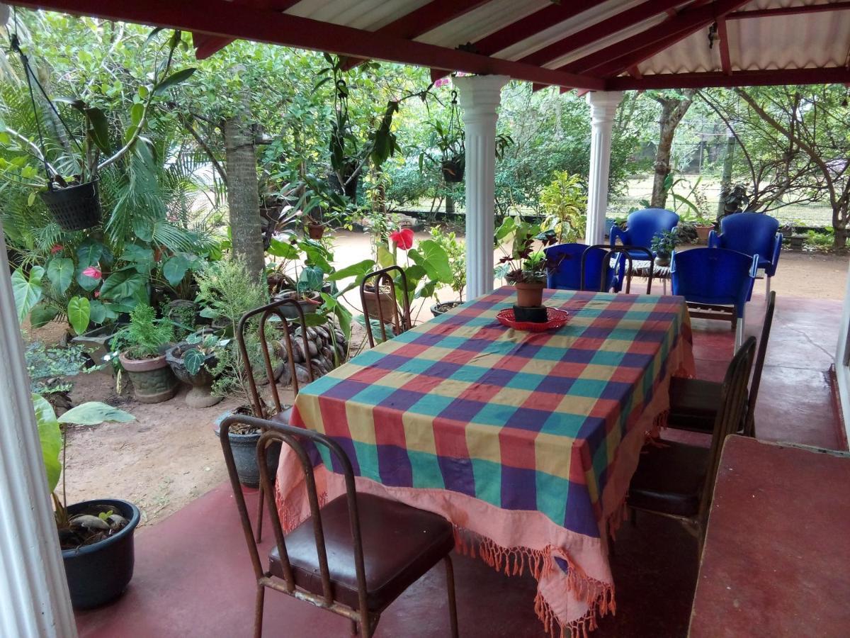 Lake House Homestay Anuradhapura Zewnętrze zdjęcie
