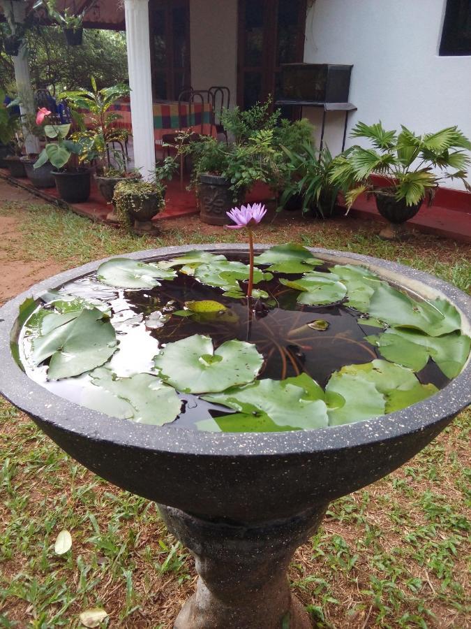 Lake House Homestay Anuradhapura Zewnętrze zdjęcie