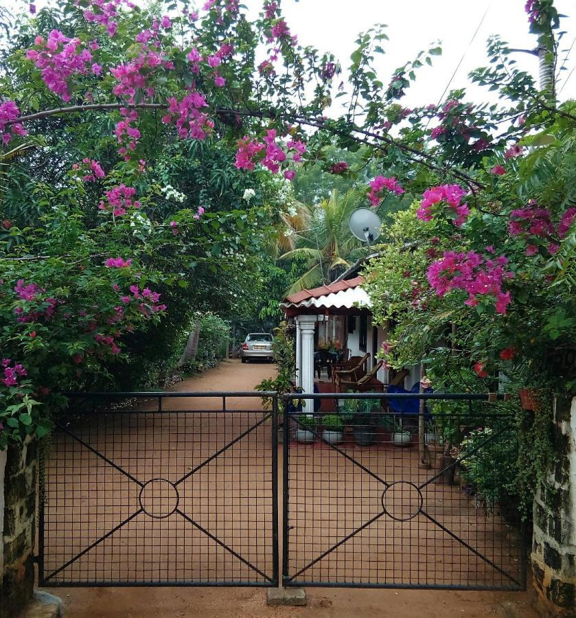 Lake House Homestay Anuradhapura Zewnętrze zdjęcie